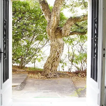 Quiet, Luminous And Spacious One-Bedroom Apartment With Garden Inside A Quiet Family House, 10Mn Away From Golden Beaches, City Center And Tgv Train Station 公寓 *